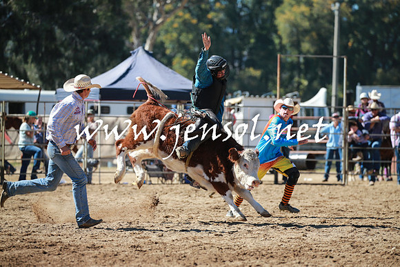 TumutRodeo2016_2498