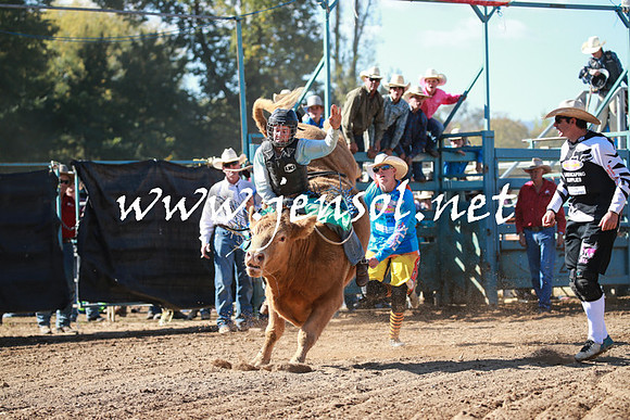 TumutRodeo2016Two_3183