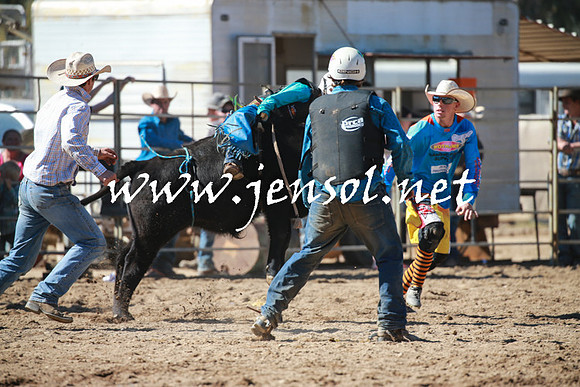 TumutRodeo2016_2972