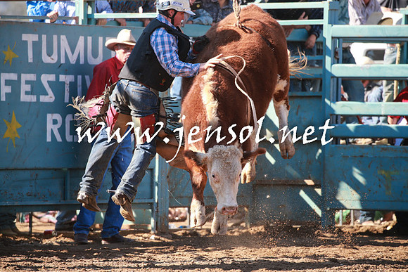 TumutRodeo2016Two_3204