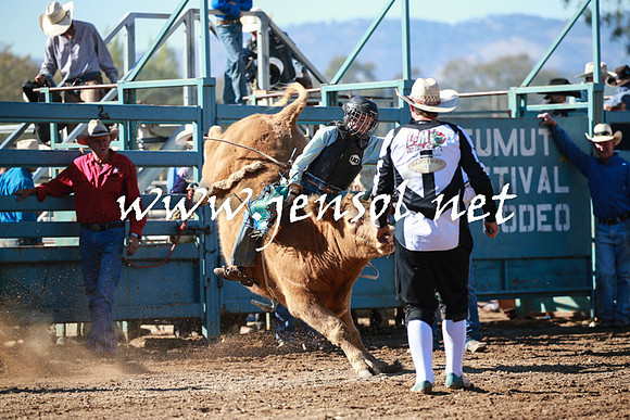 TumutRodeo2016Two_3164