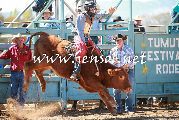 TumutRodeo2016_2708