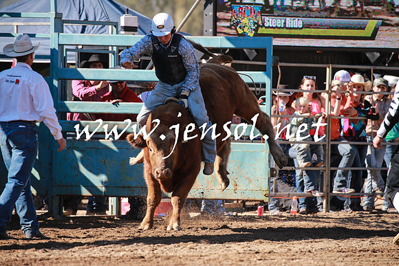 TumutRodeo2016Two_3135