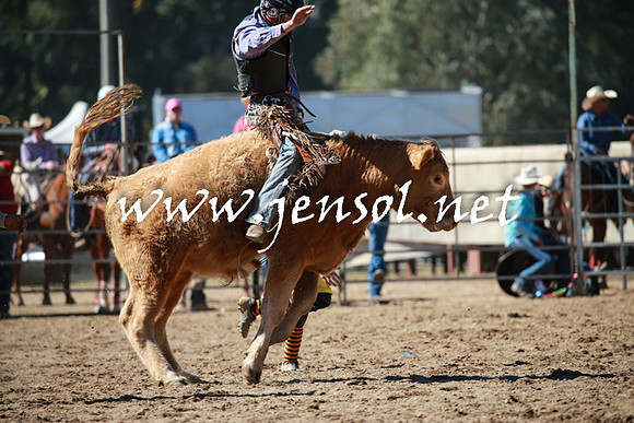 TumutRodeo2016_2670