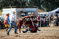 TumutRodeo2016_2400