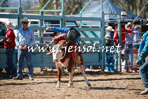 TumutRodeo2016_2996
