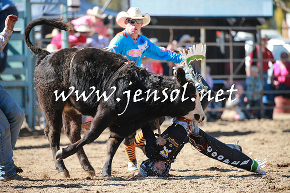 TumutRodeo2016Two_3081