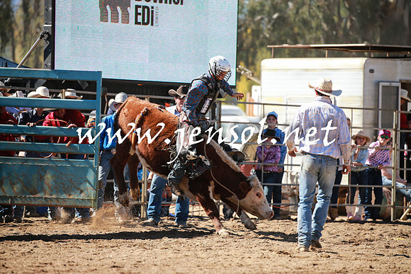 TumutRodeo2016_2735