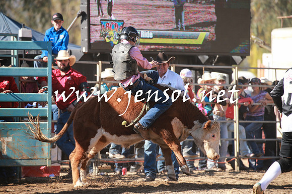 TumutRodeo2016Two_3290