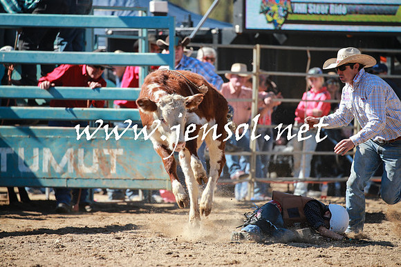 TumutRodeo2016_2968