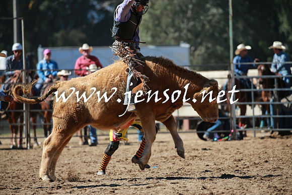 TumutRodeo2016_2671