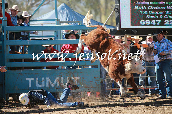 TumutRodeo2016_2508