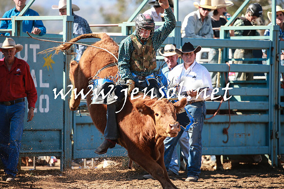 TumutRodeo2016Two_3145