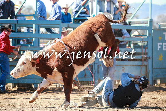 TumutRodeo2016Two_3252