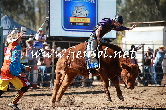 TumutRodeo2016_2676