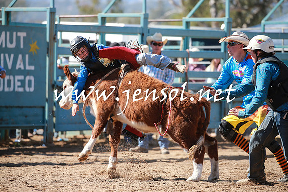 TumutRodeo2016Two_3048