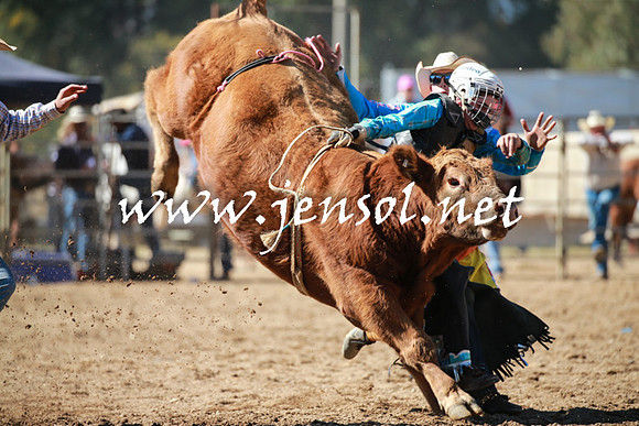 TumutRodeo2016_2638