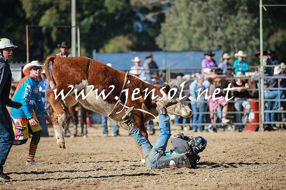 TumutRodeo2016Two_3312