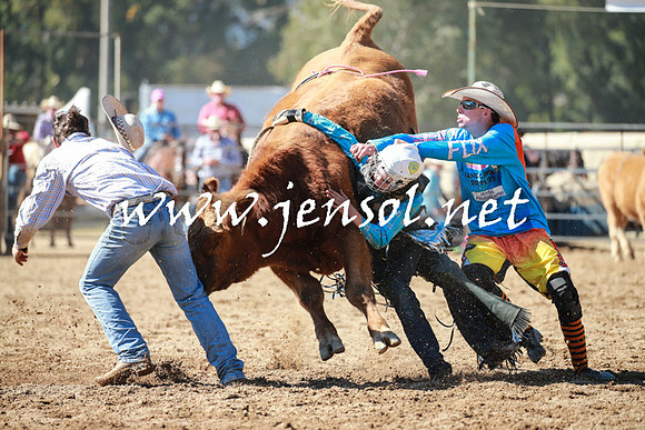 TumutRodeo2016_2641