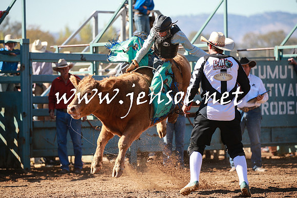 TumutRodeo2016Two_3176
