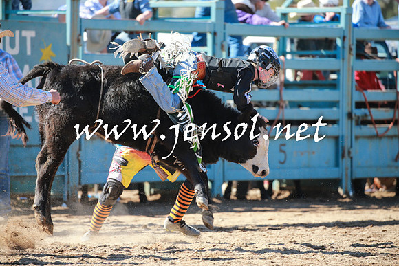 TumutRodeo2016Two_3077