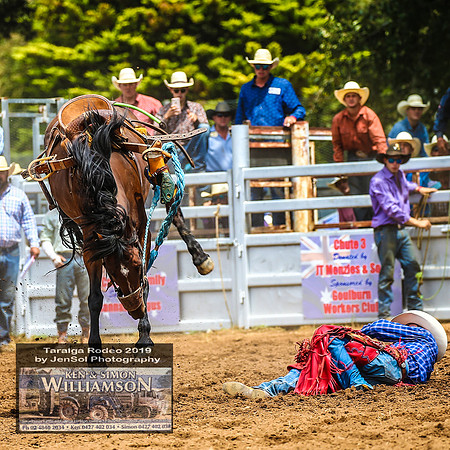 TaralgaRodeo2019_7752