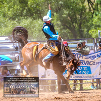 TaralgaRodeo2019_5719