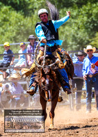 TaralgaRodeo2019_5729