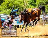 TaralgaRodeo2019_5924