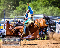 TaralgaRodeo2019_6657