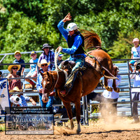 TaralgaRodeo2019_5782