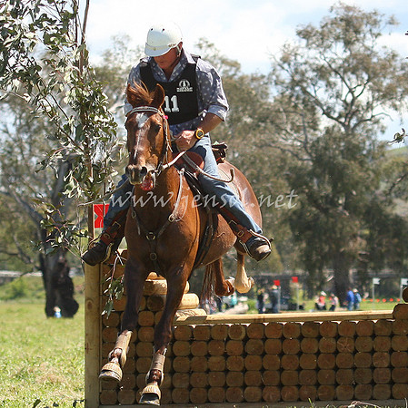 bobsat_0354_edited-1