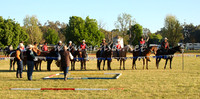 bobsat_0001_edited-1