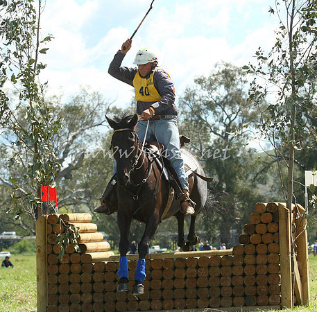 bobsat_0489_edited-1