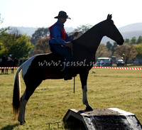 bobsat_0064_edited-1