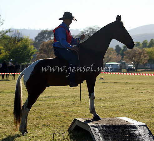 bobsat_0064_edited-1