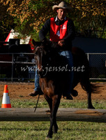bobsat_0104_edited-1