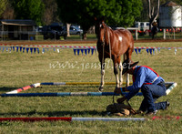 bobsat_0028_edited-1