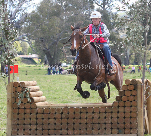 bobsat_0581_edited-1