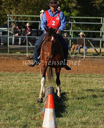 bobsat_0045_edited-1