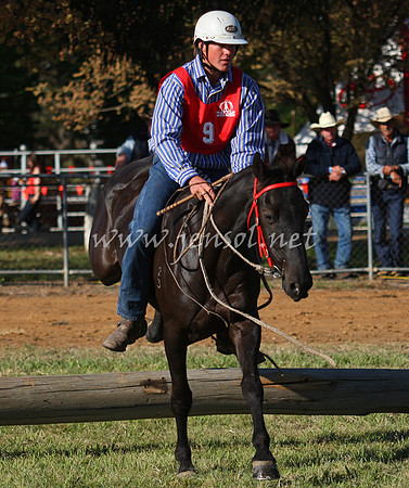 bobsat_0213_edited-1