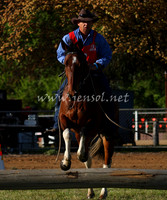 bobsat_0038_edited-1