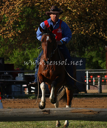 bobsat_0038_edited-1