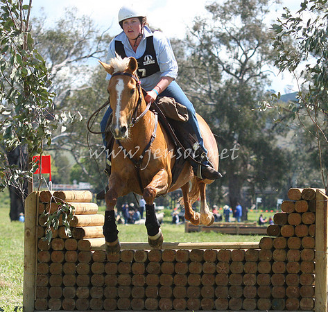 bobsat_0384_edited-1