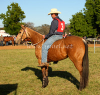 bobsat_0084_edited-1