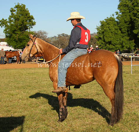 bobsat_0084_edited-1