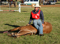 bobsat_0097_edited-1