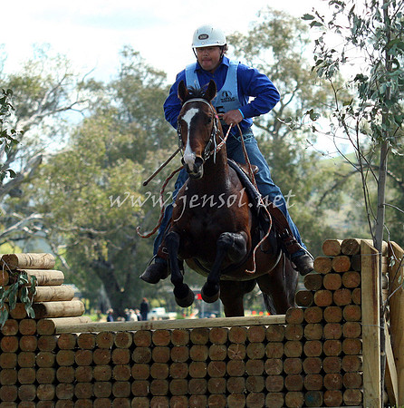 bobsat_0509_edited-1