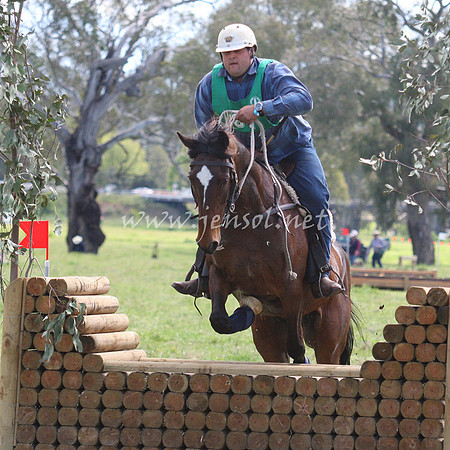 bobsat_0603_edited-1