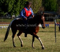 bobsat_0054_edited-1